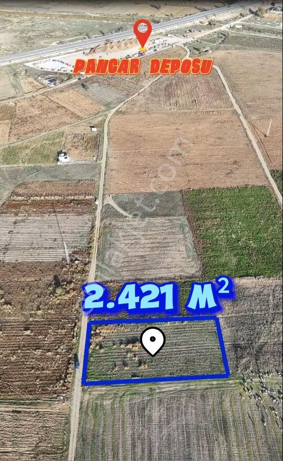 Şahin Emlaktan Denizli Acıpayam Akalan Mah. Satılık 2.421 M² Tarla