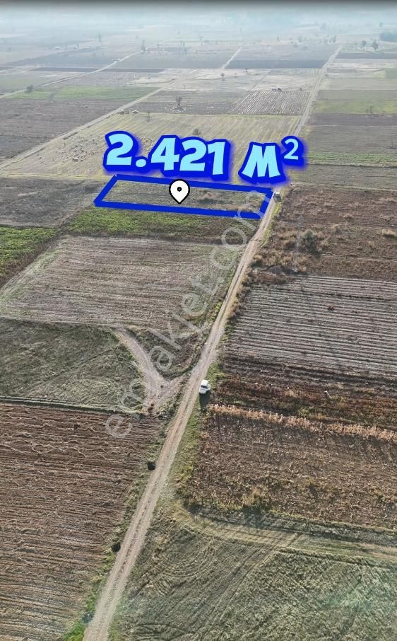 Şahin Emlaktan Denizli Acıpayam Akalan Mah. Satılık 2.421 M² Tarla - Görsel 5