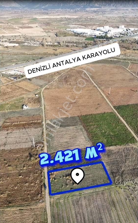 Şahin Emlaktan Denizli Acıpayam Akalan Mah. Satılık 2.421 M² Tarla - Görsel 3