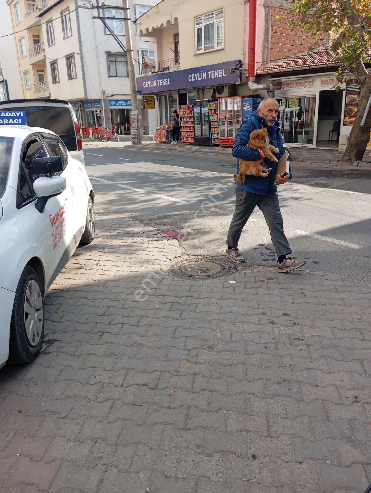 Parlar Emlaktan Satılık Daire Camikebir Mahallesinde 2+1 74 Metre Kare Doğalgazlı Konumuiyi - Görsel 33