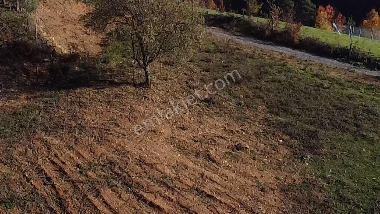 Elmalı Mahallesinde Satılık Arsa - Görsel 15