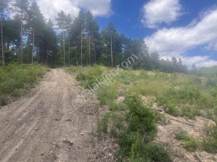 Yatırımlık Tarla - Görsel 7