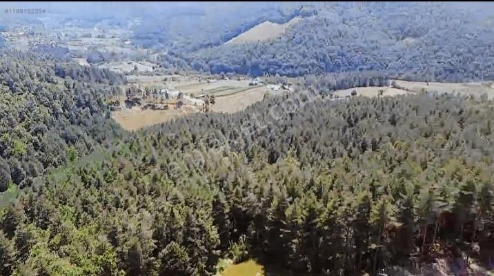 Yatırımlık Tarla - Görsel 8