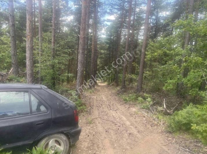 Yatırımlık Tarla - Görsel 6