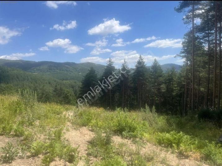 Yatırımlık Tarla - Görsel 9