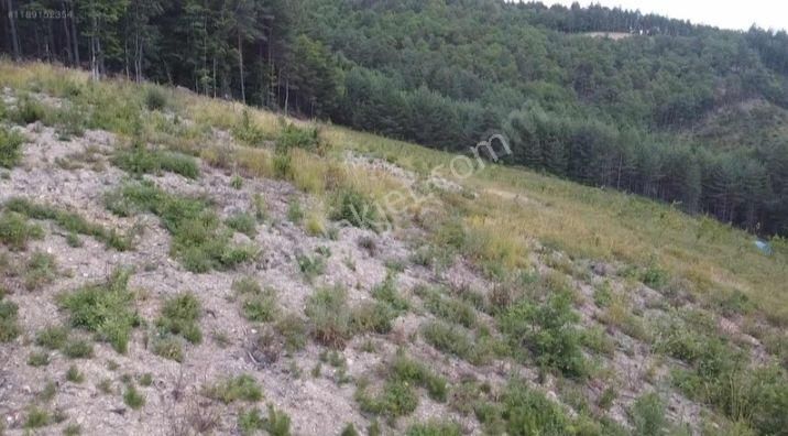 Yatırımlık Tarla - Görsel 2