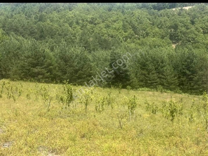Yatırımlık Tarla - Görsel 12