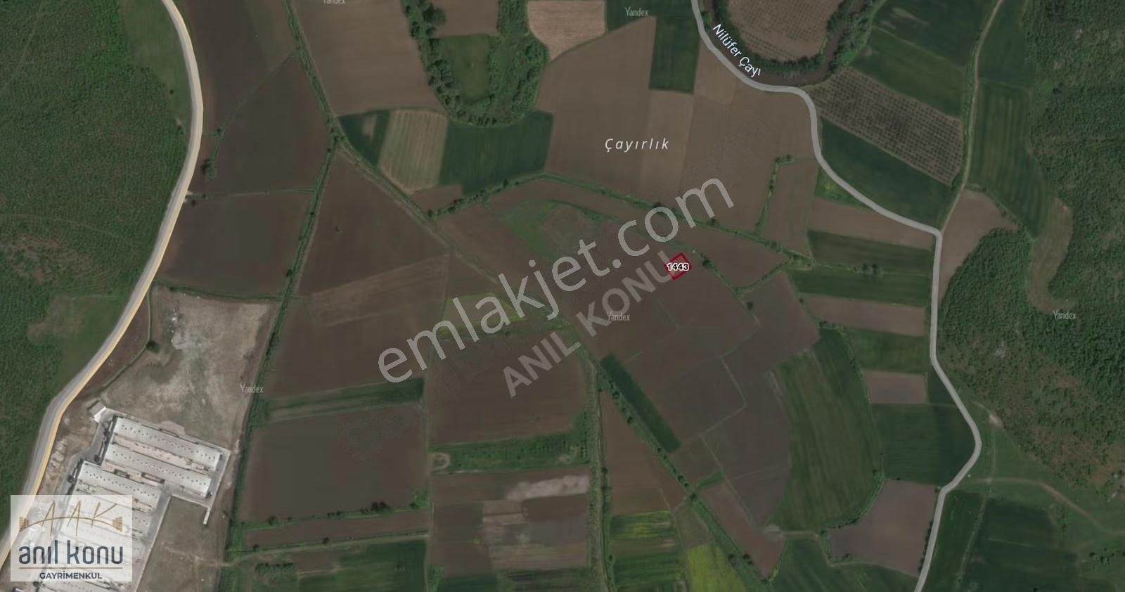 Anıl Konu'dan Karacabey Canbaz Satılık Yatırımlık Tarla