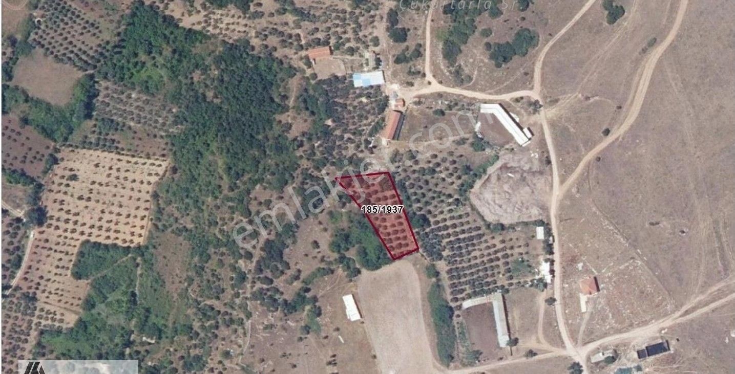 Arte'den Edincik Te 1.655 M2 Bağ Yeri Satılıktır - Görsel 3