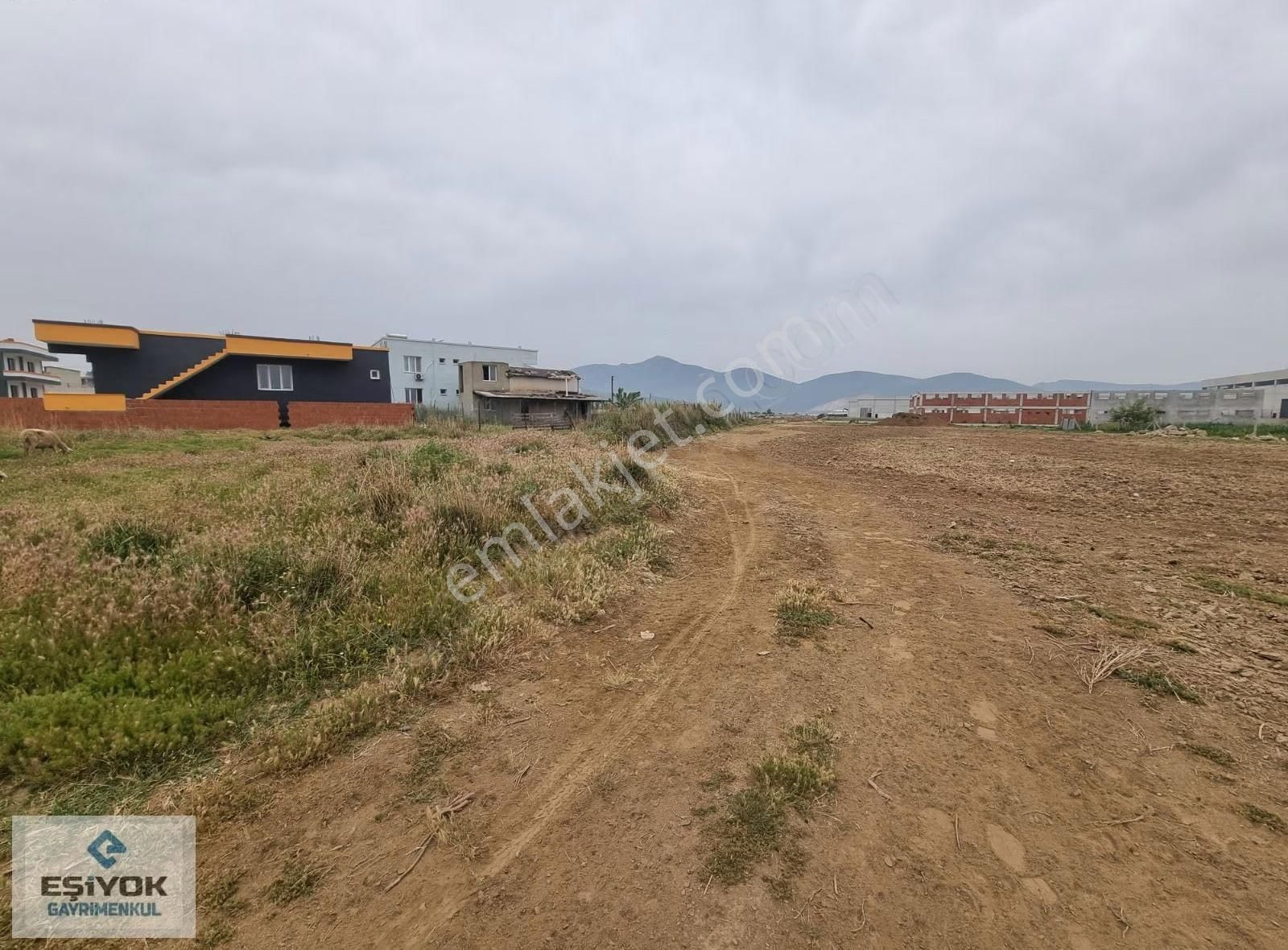 Aciiiiil Satılık - Görsel 5