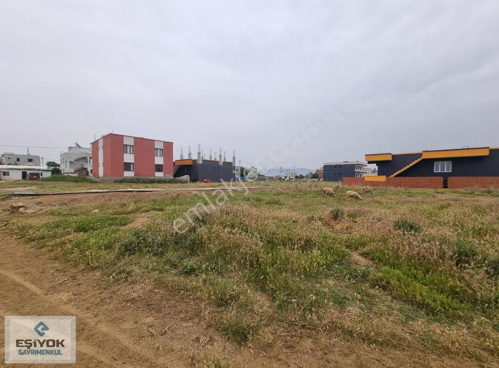 Aciiiiil Satılık - Görsel 6