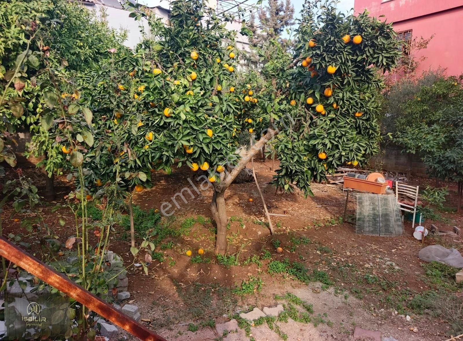 Fevzipaşa Mahallesinde Satılık Müstakil Ev - Görsel 17