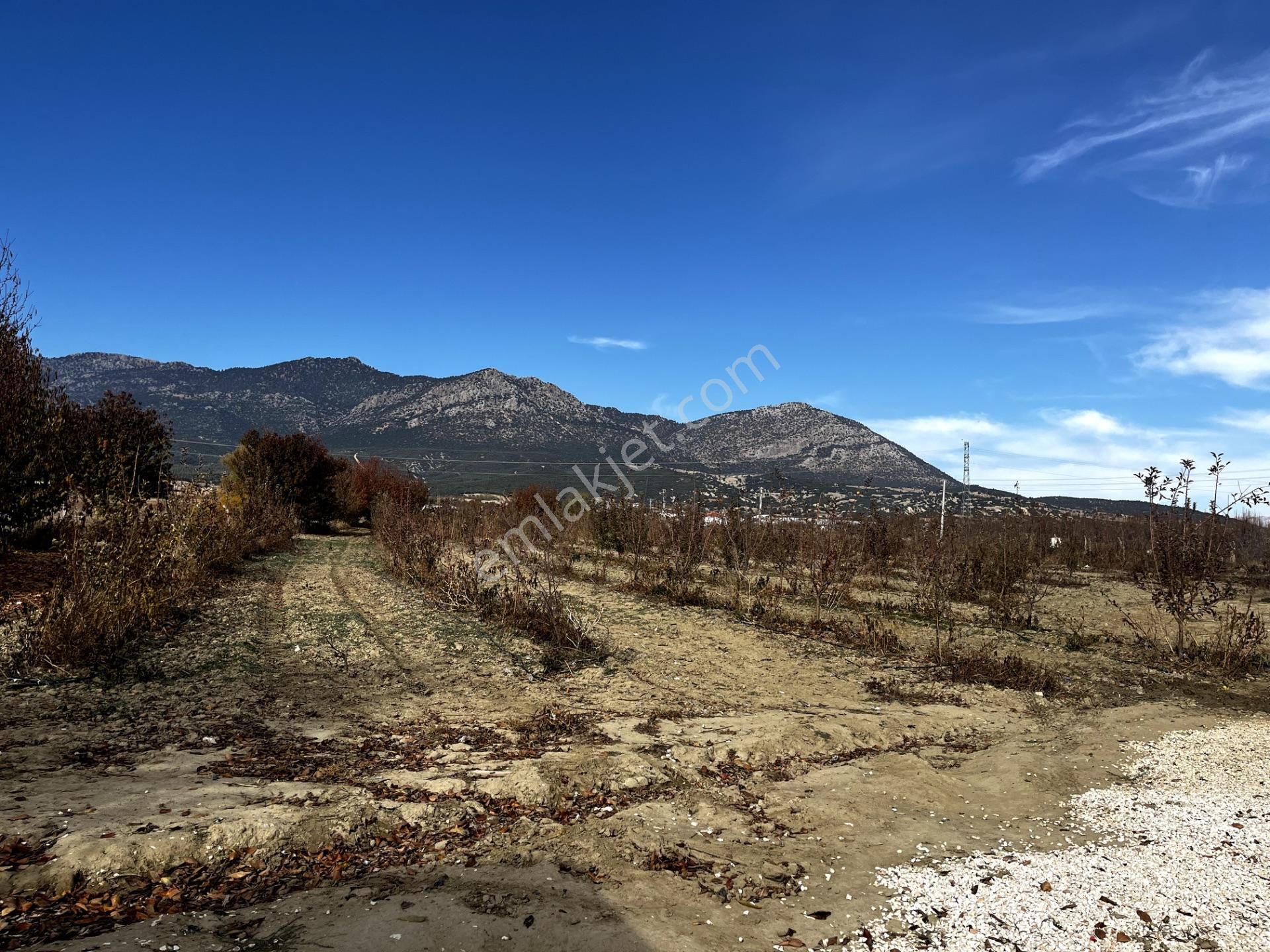 Devren Satılık Soğuk Hava Deposu - Görsel 15