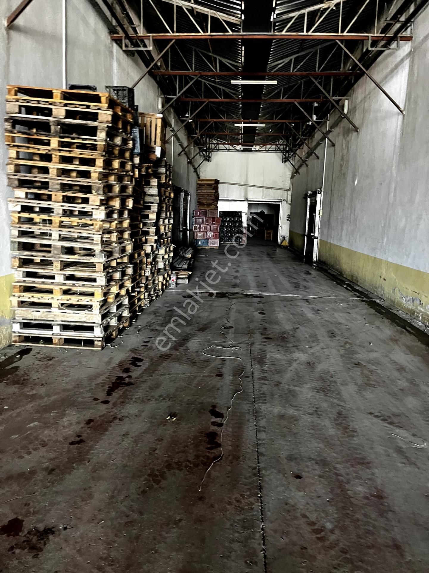 Devren Satılık Soğuk Hava Deposu - Görsel 5