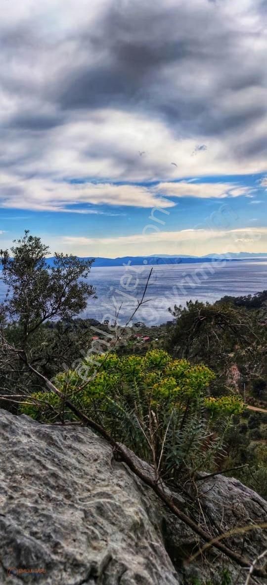 Muğla Sarnıç Mah. Satılık Deniz Manzaralı Arazi - Görsel 3