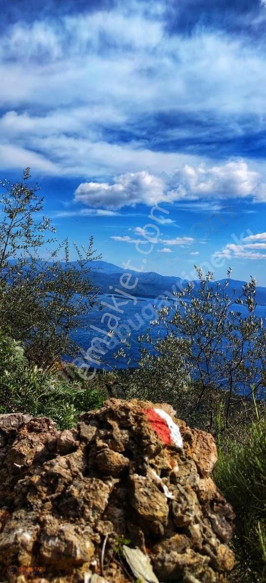 Muğla Sarnıç Mah. Satılık Deniz Manzaralı Arazi - Görsel 2