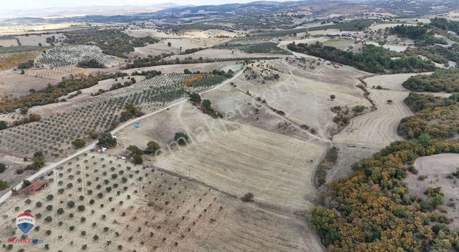 96 Manisa Gördes Bayatta 26.000m2 Satılık Tarla - Görsel 7