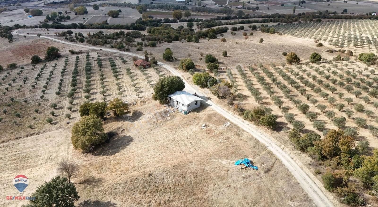 96 Manisa Gördes Bayatta 26.000m2 Satılık Tarla - Görsel 11