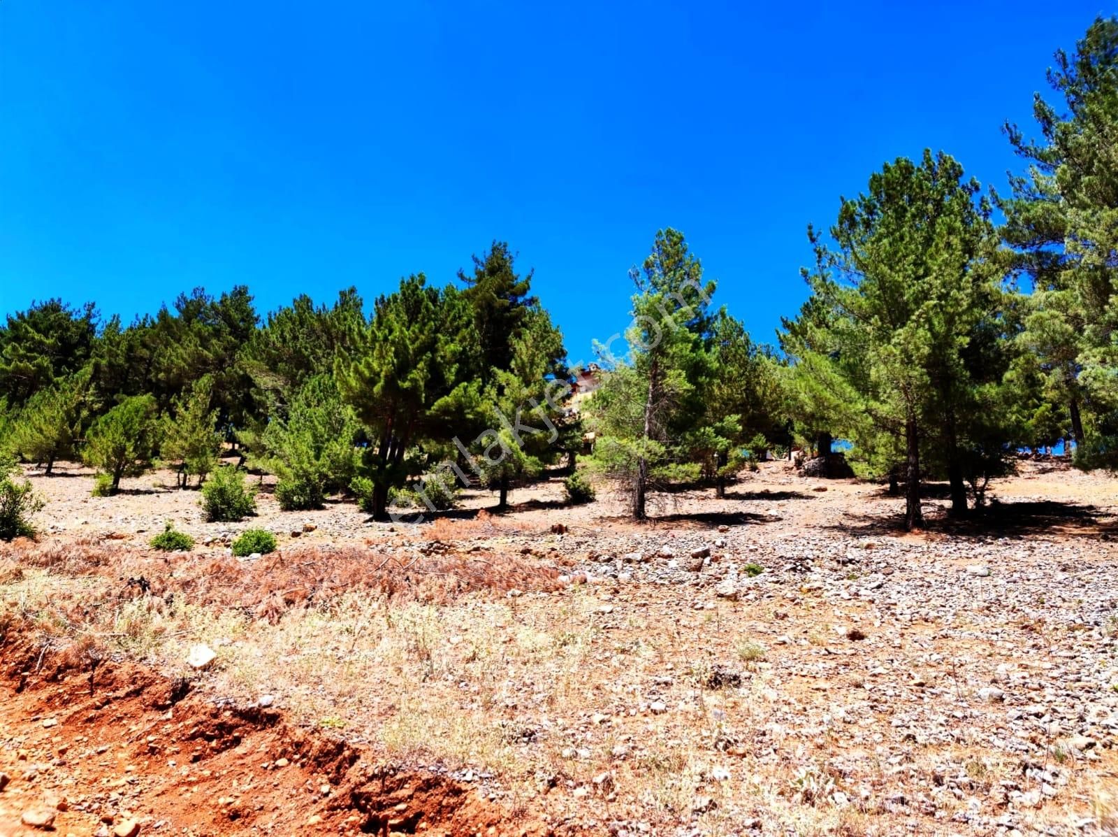 Kar Emlaktan Yenikonacık Efes Sitesi Yanında 480 M2 İmarlı İfrazlı Satılık Arsa - Görsel 7