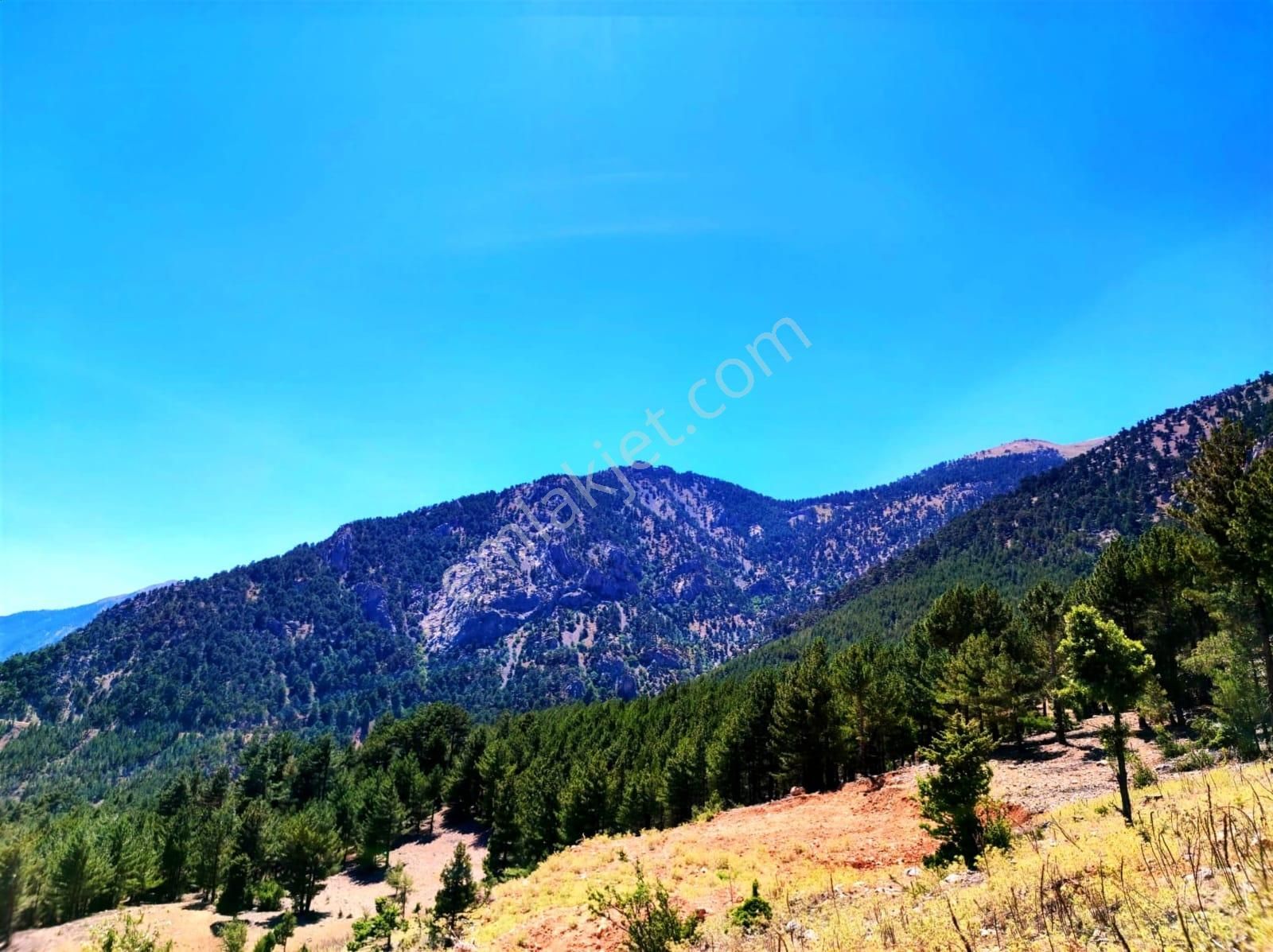 Kar Emlaktan Yenikonacık Efes Sitesi Yanında 480 M2 İmarlı İfrazlı Satılık Arsa - Görsel 15