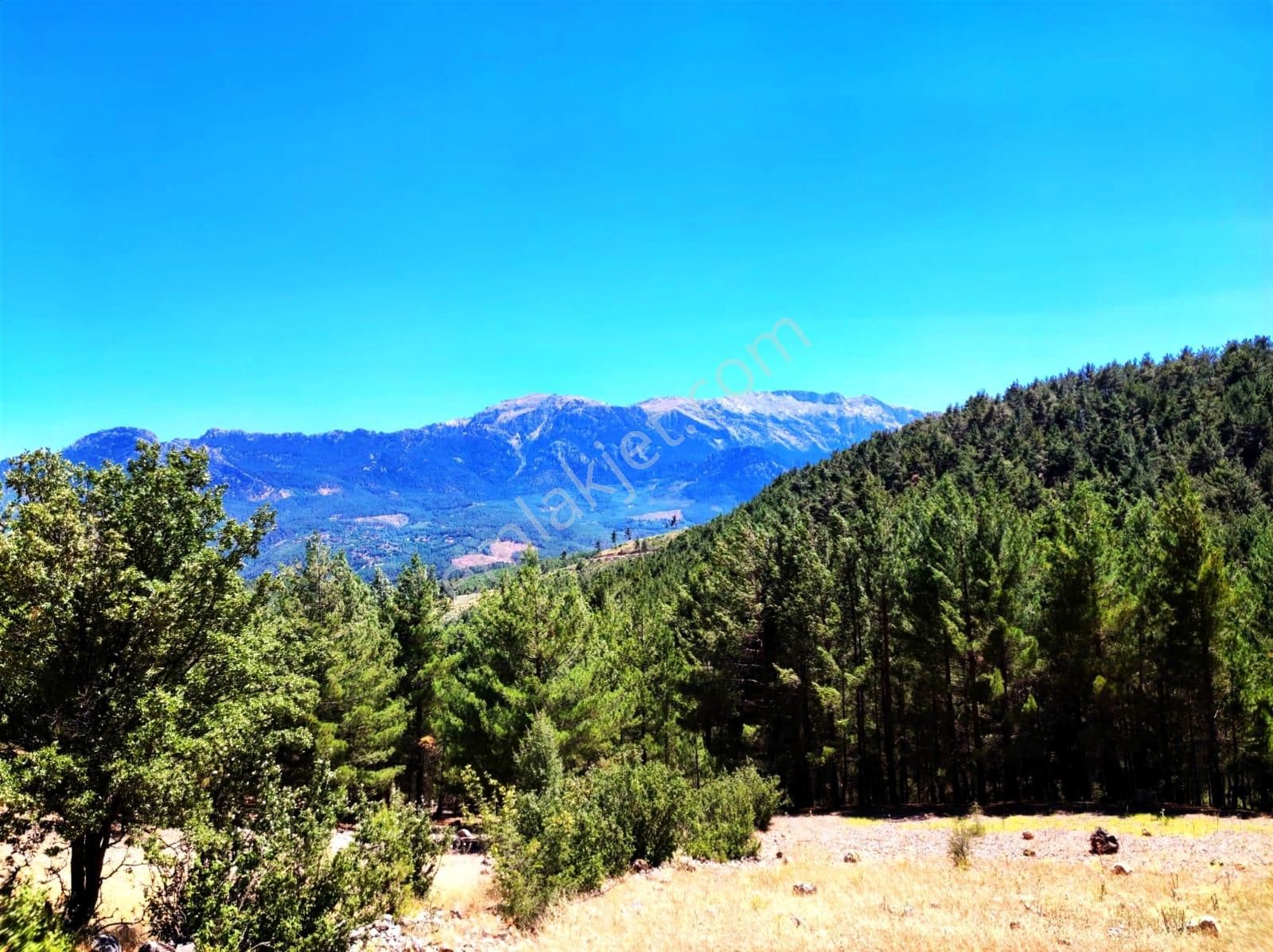 Kar Emlaktan Yenikonacık Efes Sitesi Yanında 480 M2 İmarlı İfrazlı Satılık Arsa