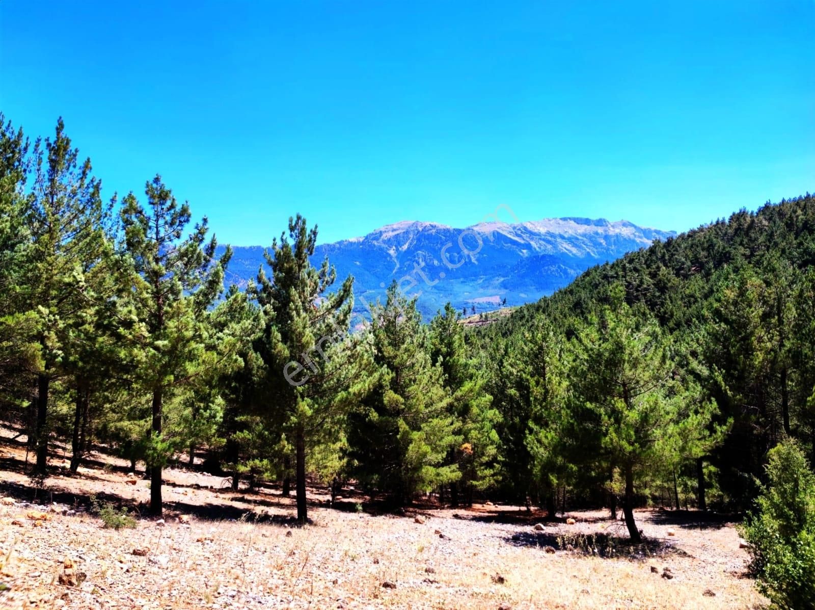 Kar Emlaktan Yenikonacık Efes Sitesi Yanında 480 M2 İmarlı İfrazlı Satılık Arsa - Görsel 10