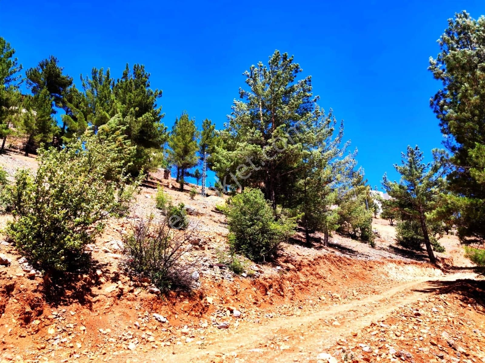 Kar Emlaktan Yenikonacık Efes Sitesi Yanında 480 M2 İmarlı İfrazlı Satılık Arsa - Görsel 27