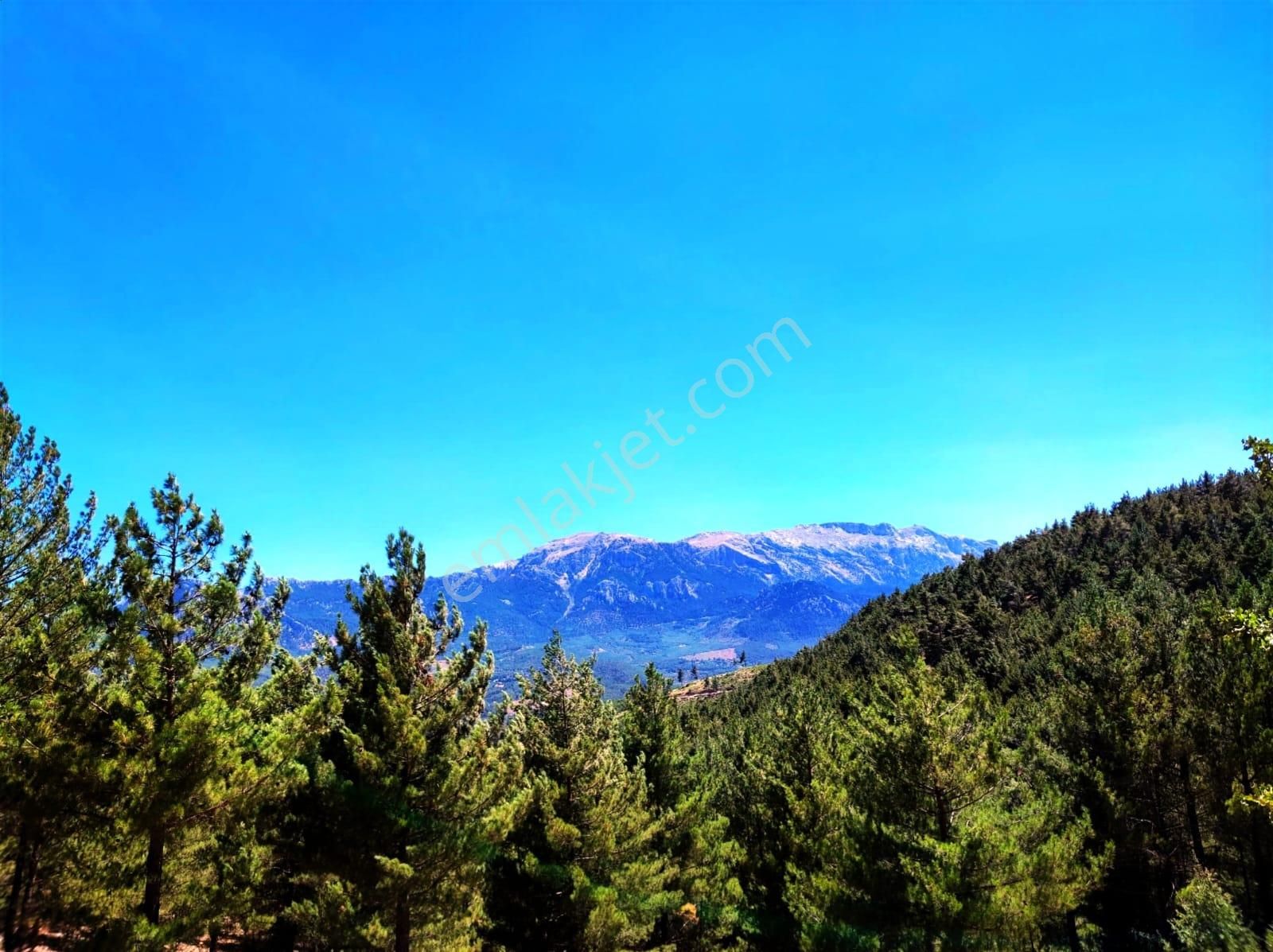 Kar Emlaktan Yenikonacık Efes Sitesi Yanında 480 M2 İmarlı İfrazlı Satılık Arsa - Görsel 6