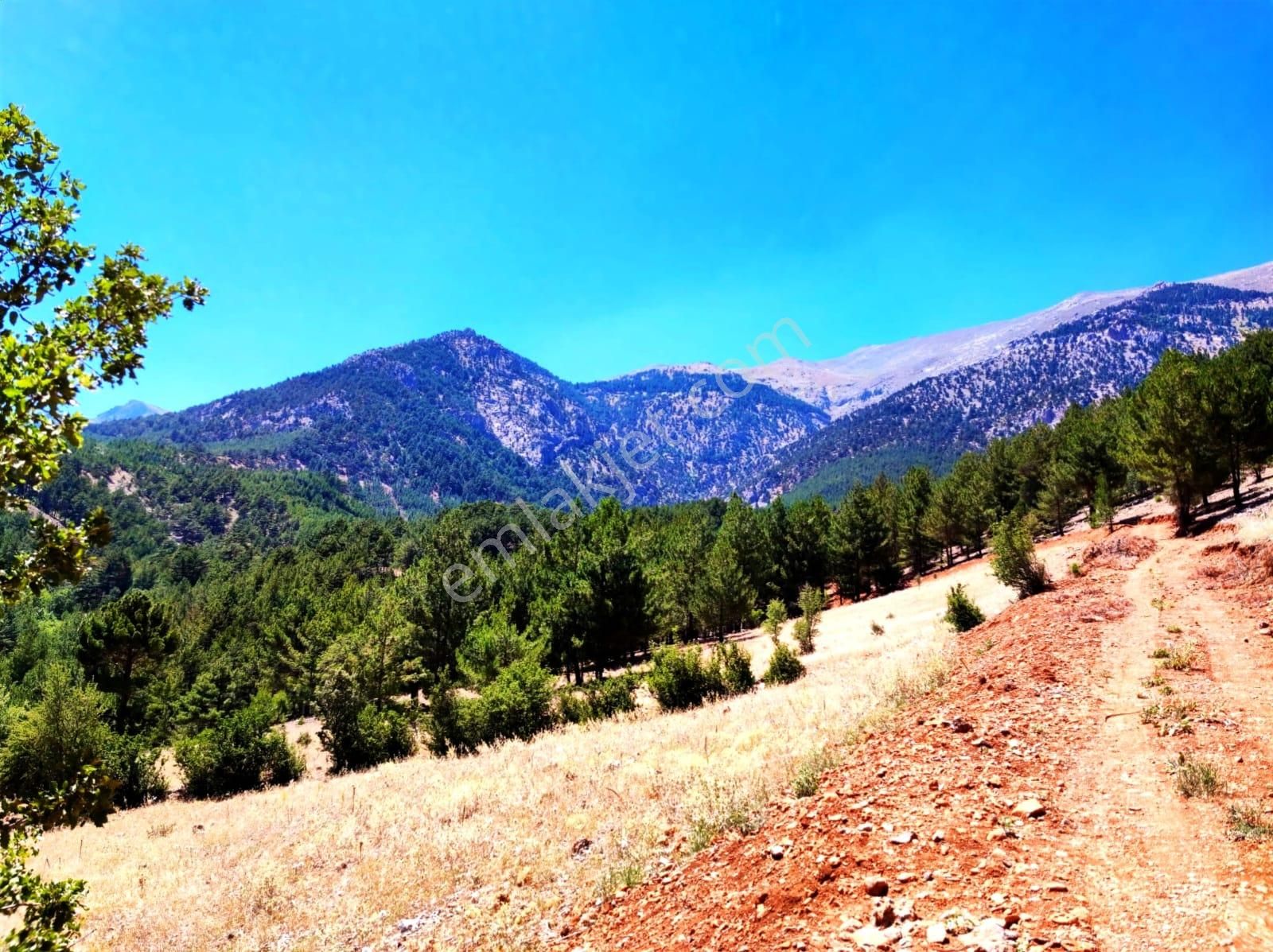 Kar Emlaktan Yenikonacık Efes Sitesi Yanında 480 M2 İmarlı İfrazlı Satılık Arsa - Görsel 5