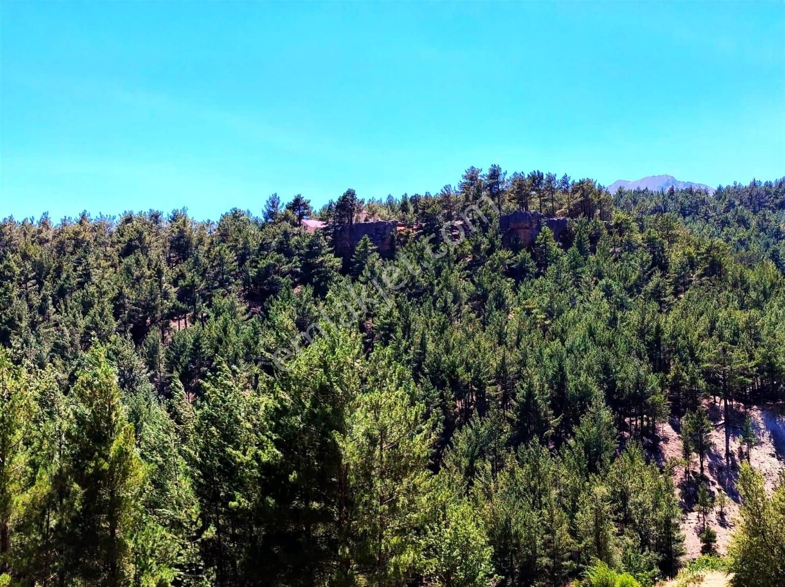 Kar Emlaktan Yenikonacık Efes Sitesi Yanında 480 M2 İmarlı İfrazlı Satılık Arsa - Görsel 16