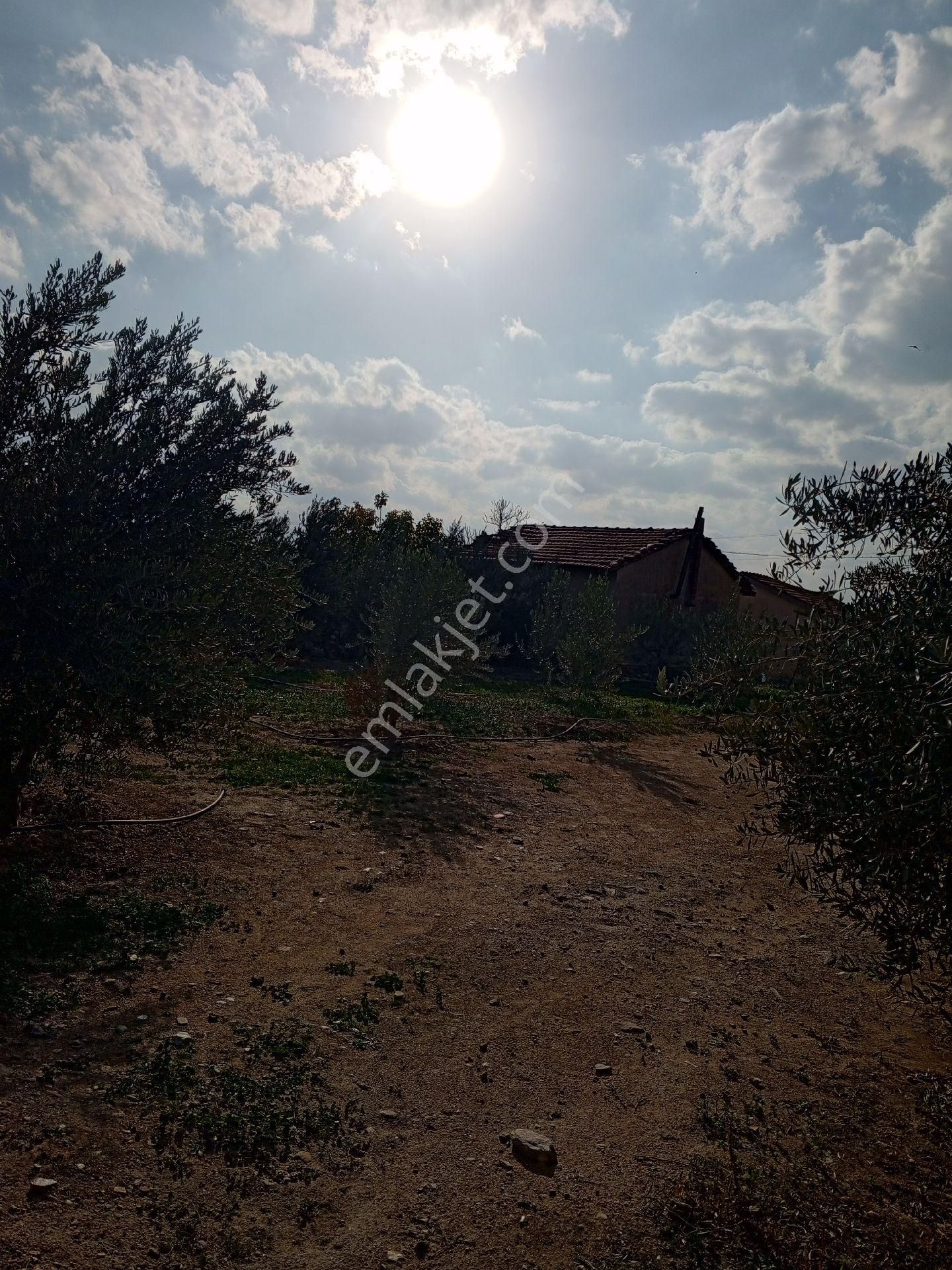 Manisa Salhli Satılık Hobi Bahçesi - Görsel 10
