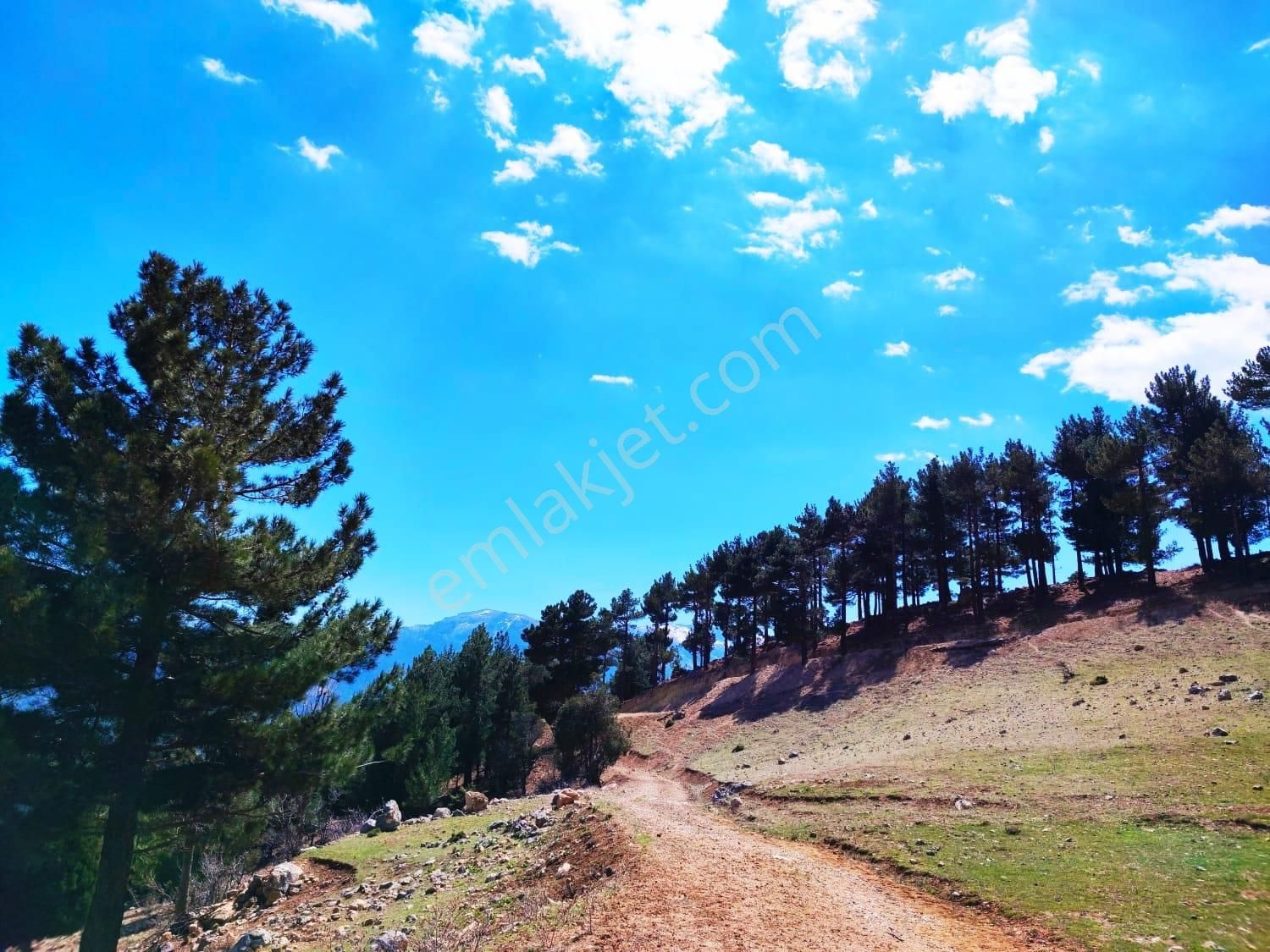 Kar Emlaktan Yenikonacık Bozkırlı Mevkiinde 430 M2 İmarlı İfrazlı Satılık Arsa