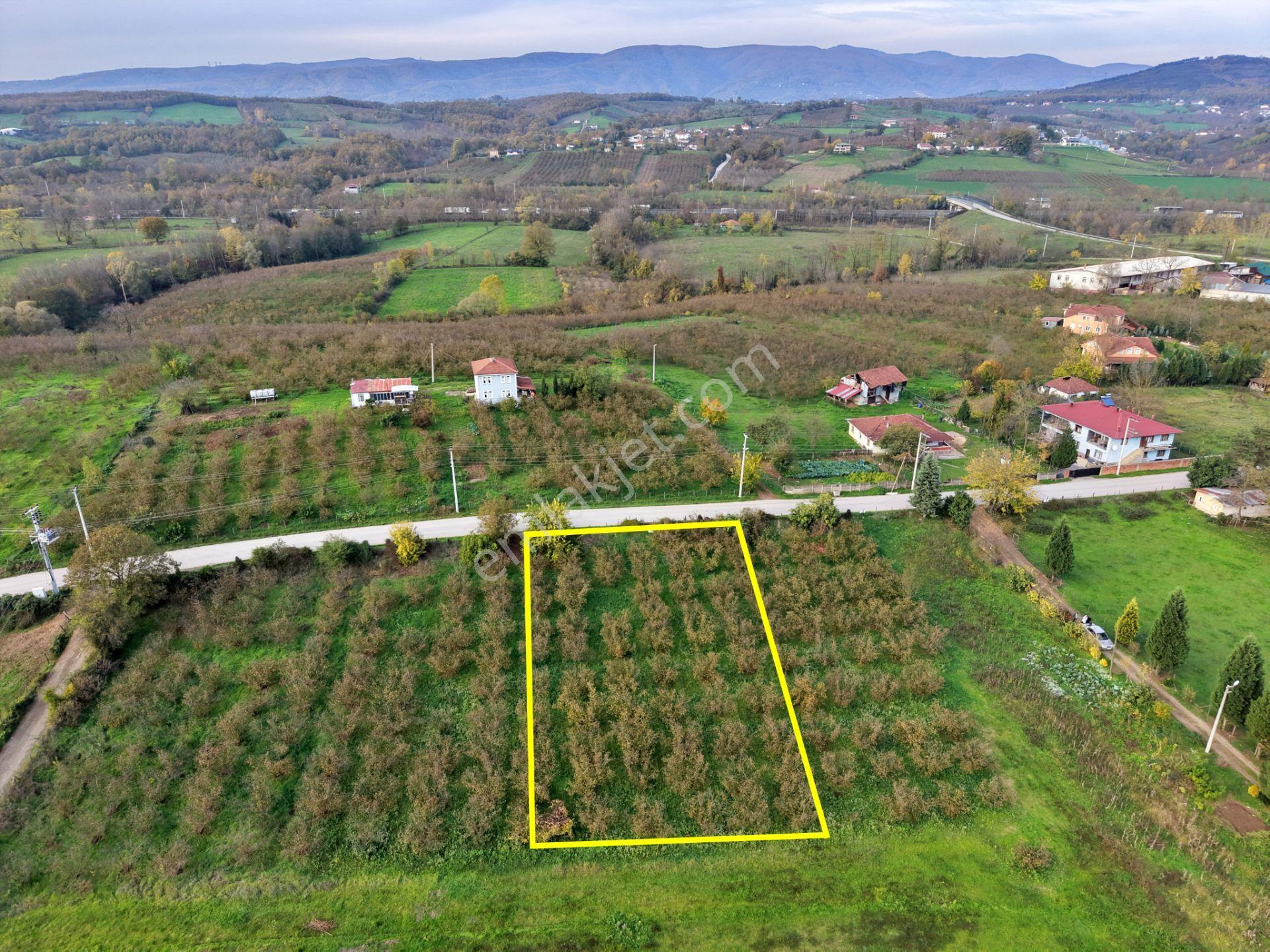 Emlakevim - Yeşilvadi Mahallesinde Satılık 1250 M2 İmarlı Arsa ! - Görsel 9