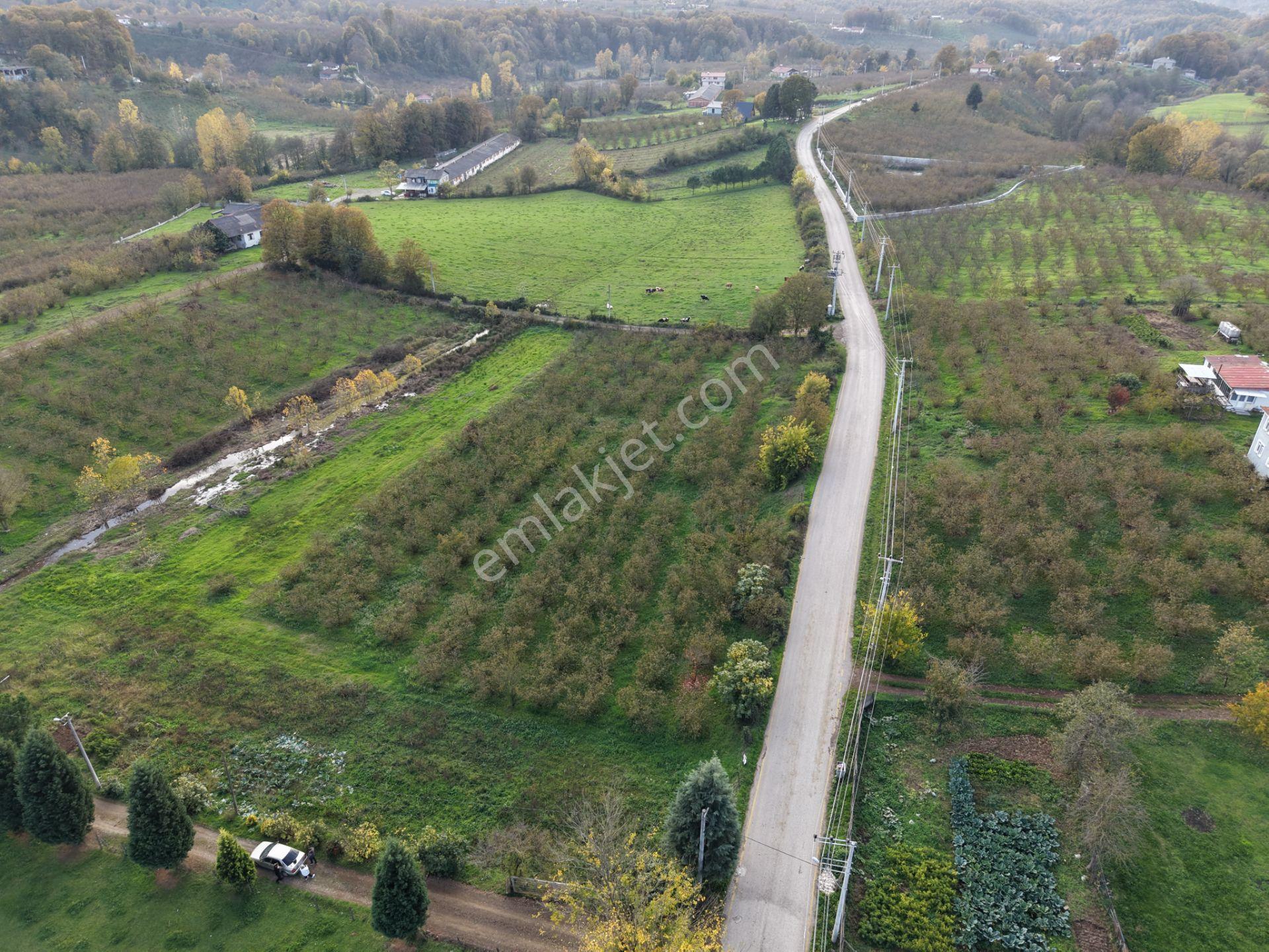Emlakevim - Yeşilvadi Mahallesinde Satılık 1250 M2 İmarlı Arsa ! - Görsel 13