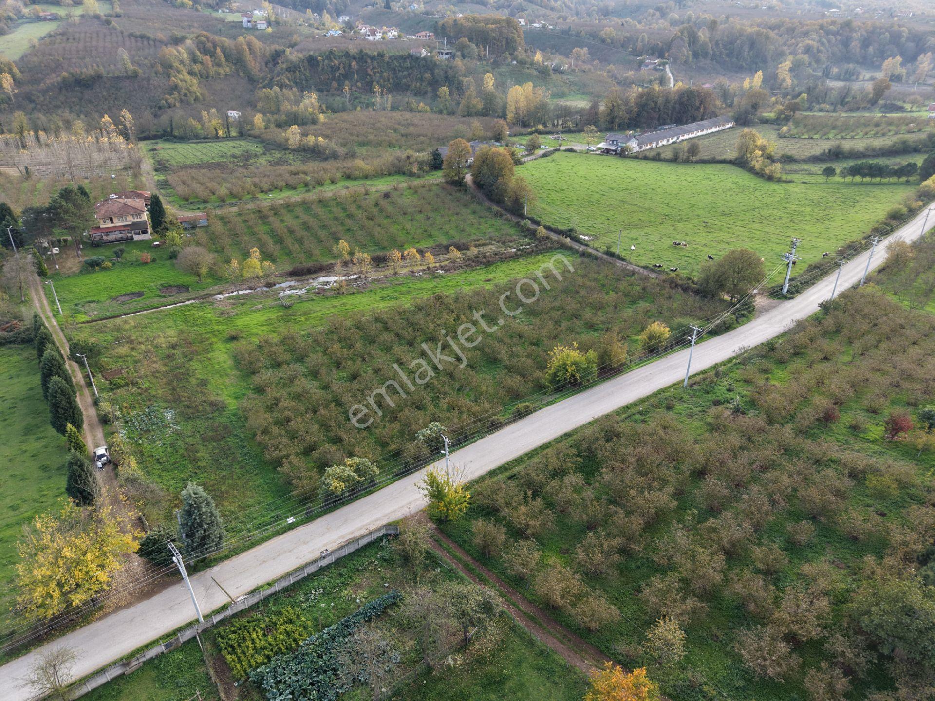 Emlakevim - Yeşilvadi Mahallesinde Satılık 1250 M2 İmarlı Arsa ! - Görsel 14