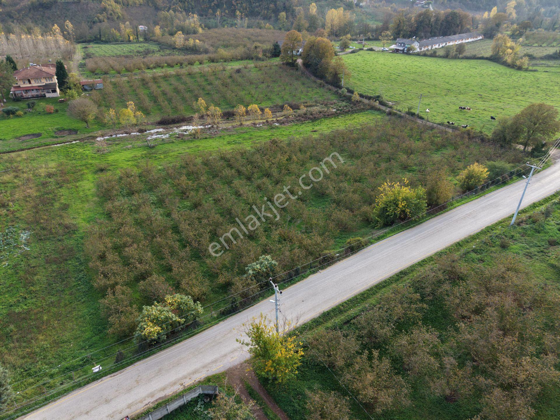 Emlakevim - Yeşilvadi Mahallesinde Satılık 1250 M2 İmarlı Arsa ! - Görsel 16