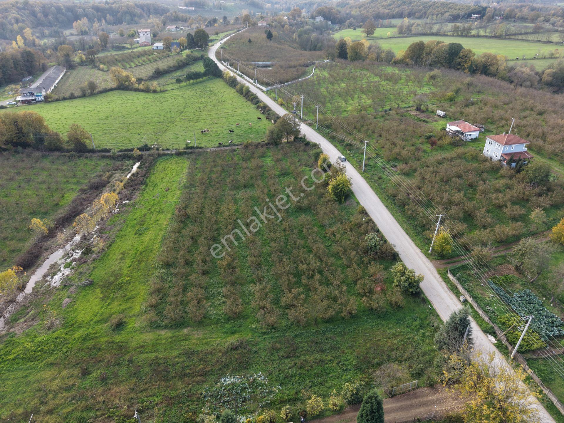 Emlakevim - Yeşilvadi Mahallesinde Satılık 1250 M2 İmarlı Arsa ! - Görsel 12