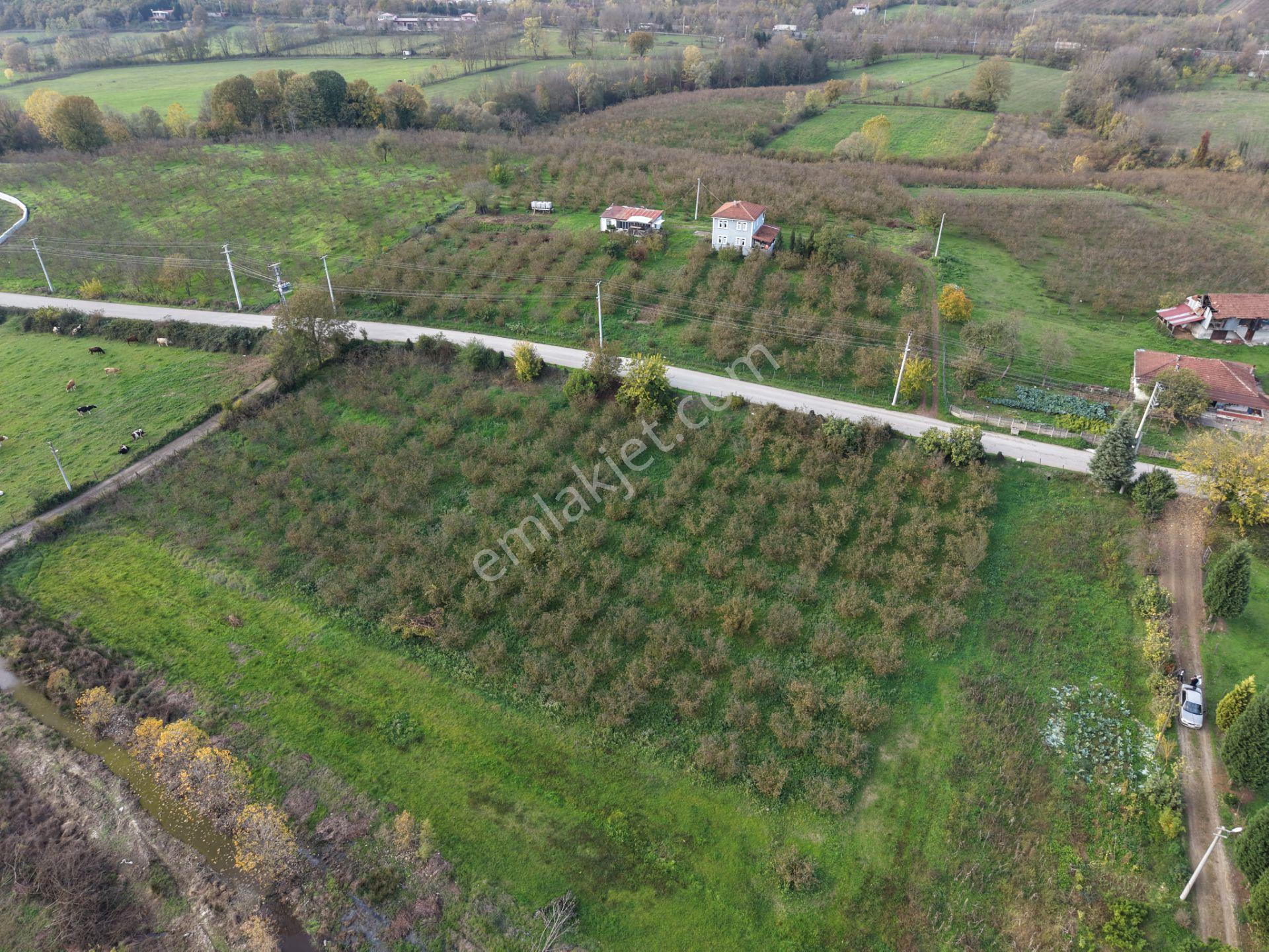 Emlakevim - Yeşilvadi Mahallesinde Satılık 1250 M2 İmarlı Arsa ! - Görsel 10