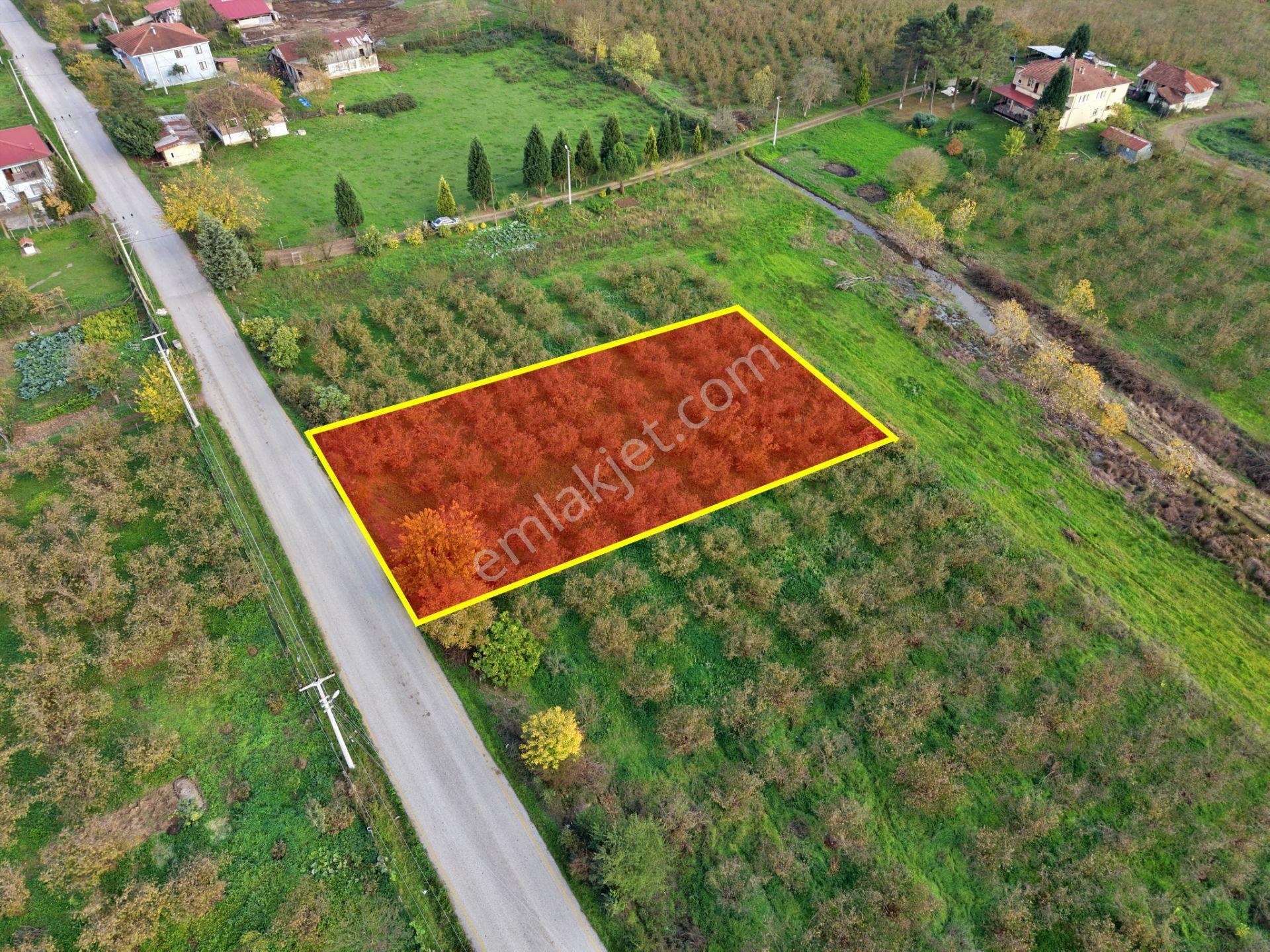 Emlakevim - Yeşilvadi Mahallesinde Satılık 1250 M2 İmarlı Arsa ! - Görsel 5