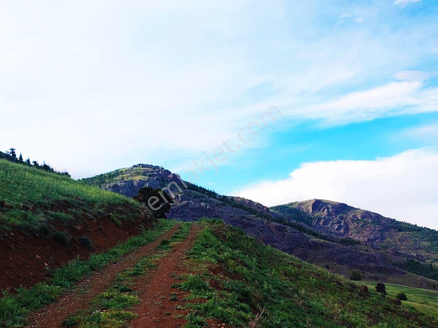 Kar Emlaktan Kamışlı Yaylasında 500 M2 İmarlı İfrazlı Satılık Asra - Görsel 26