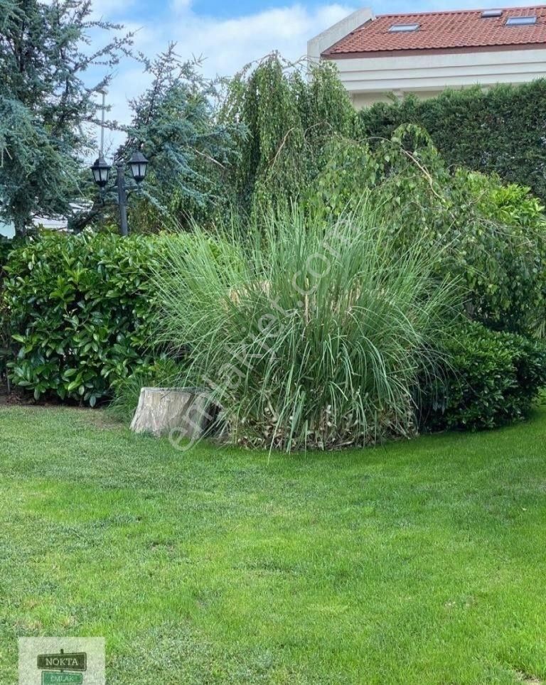 Nokta'dan Marenegro'da Açık/kapalı Havuzlu Geniş Bahçeli Köşe - Görsel 4