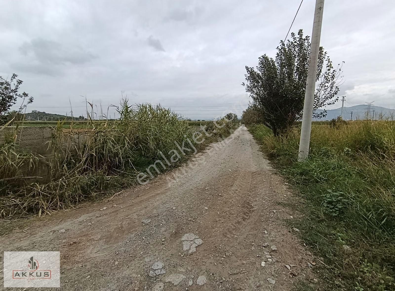 Satılık Yola Sıfır Tarla