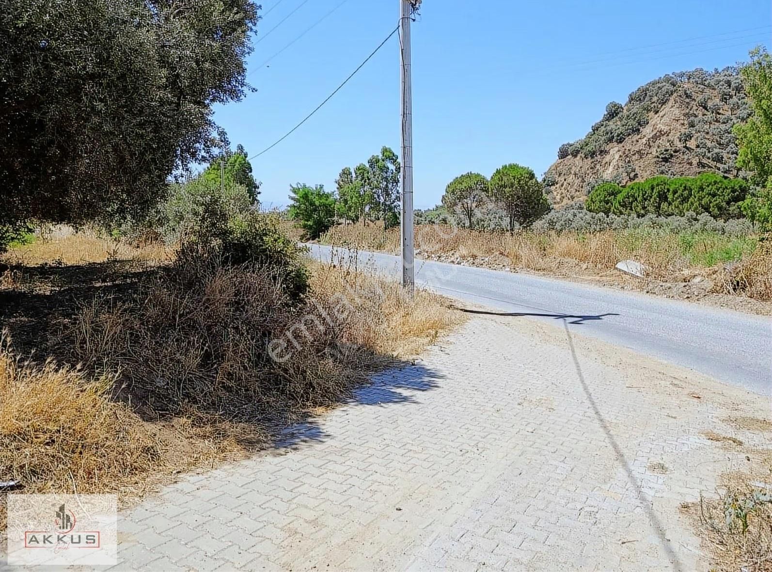 Yola Sıfır Hobi Bahçesi - Görsel 8