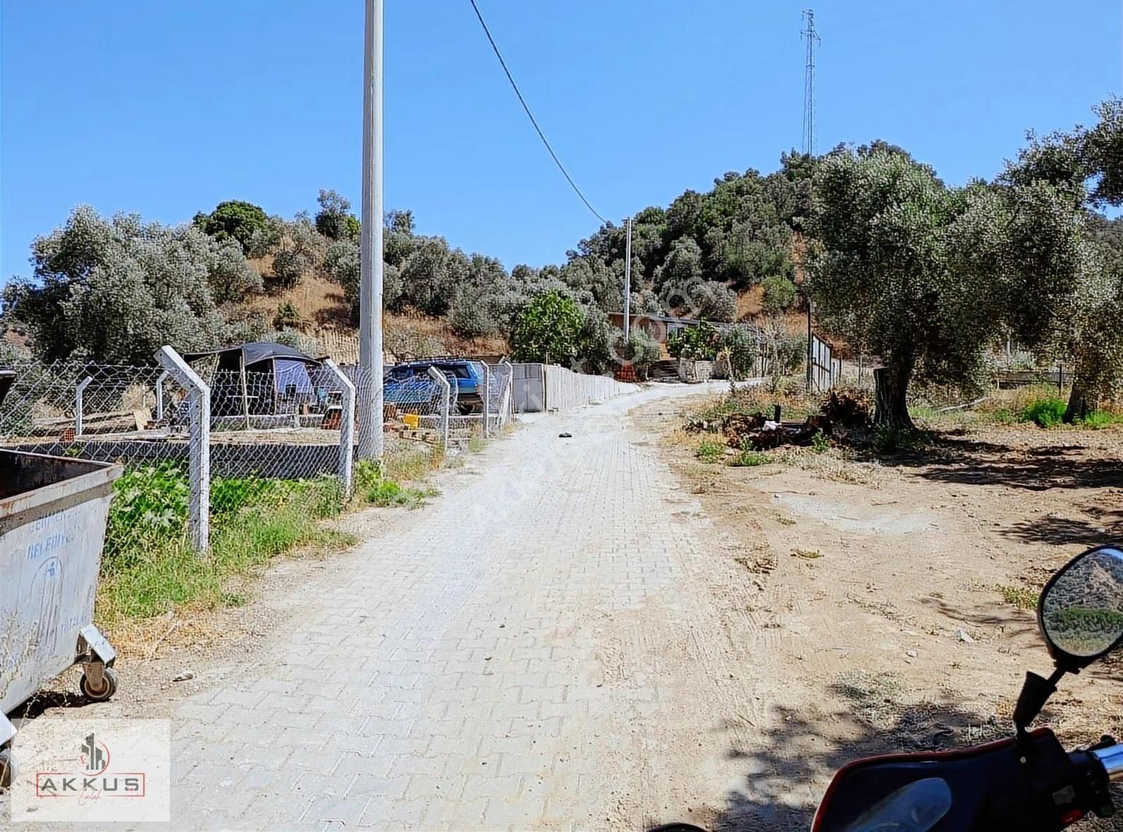 Yola Sıfır Hobi Bahçesi - Görsel 19