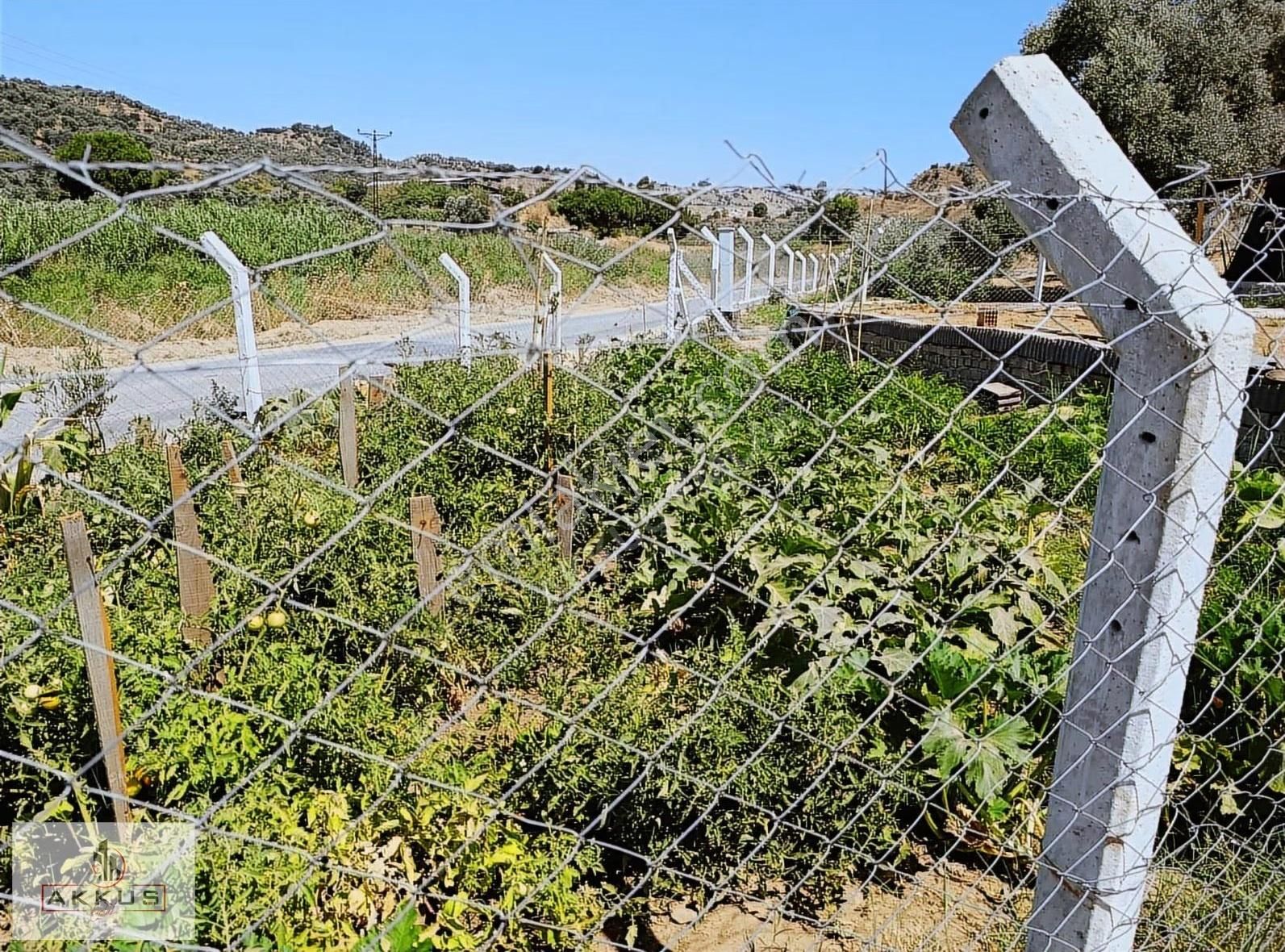 Yola Sıfır Hobi Bahçesi - Görsel 18