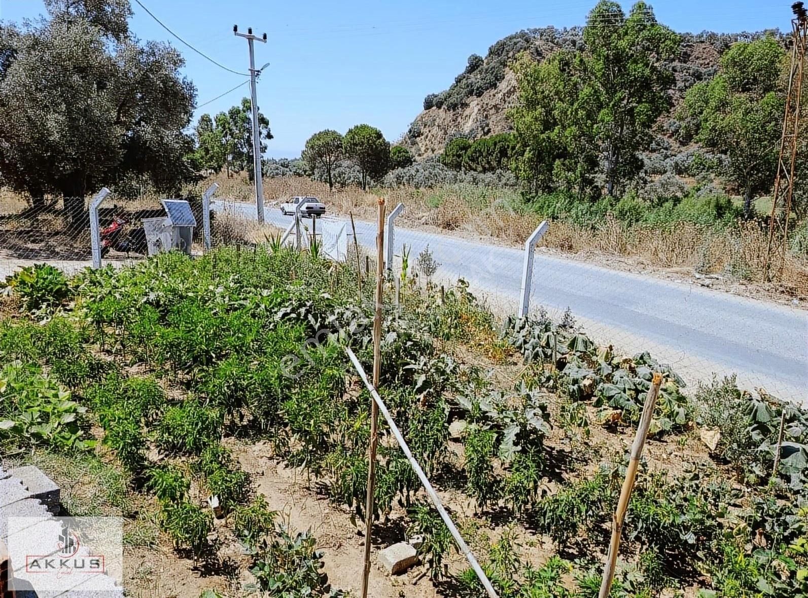 Yola Sıfır Hobi Bahçesi - Görsel 7