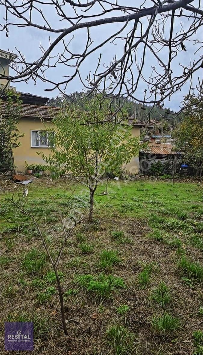 Mudanya Dereköy Köy İçinde Satılık Bahçe - Görsel 5