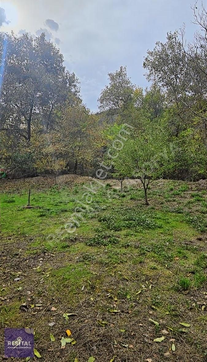 Mudanya Dereköy Köy İçinde Satılık Bahçe - Görsel 10