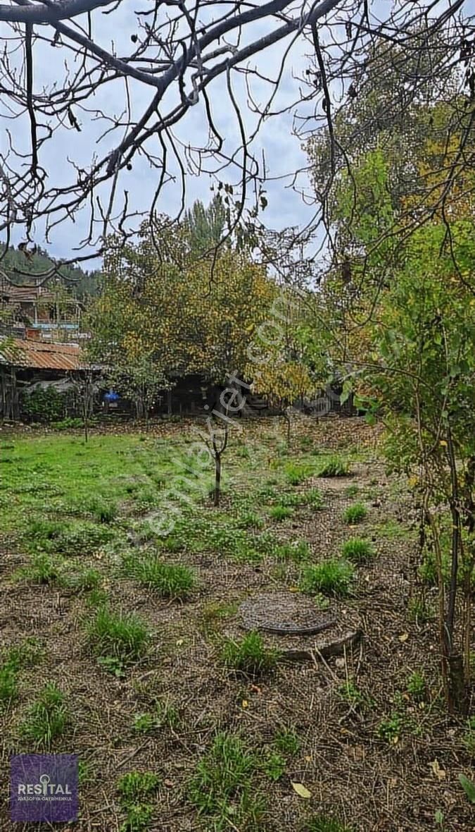 Mudanya Dereköy Köy İçinde Satılık Bahçe - Görsel 7