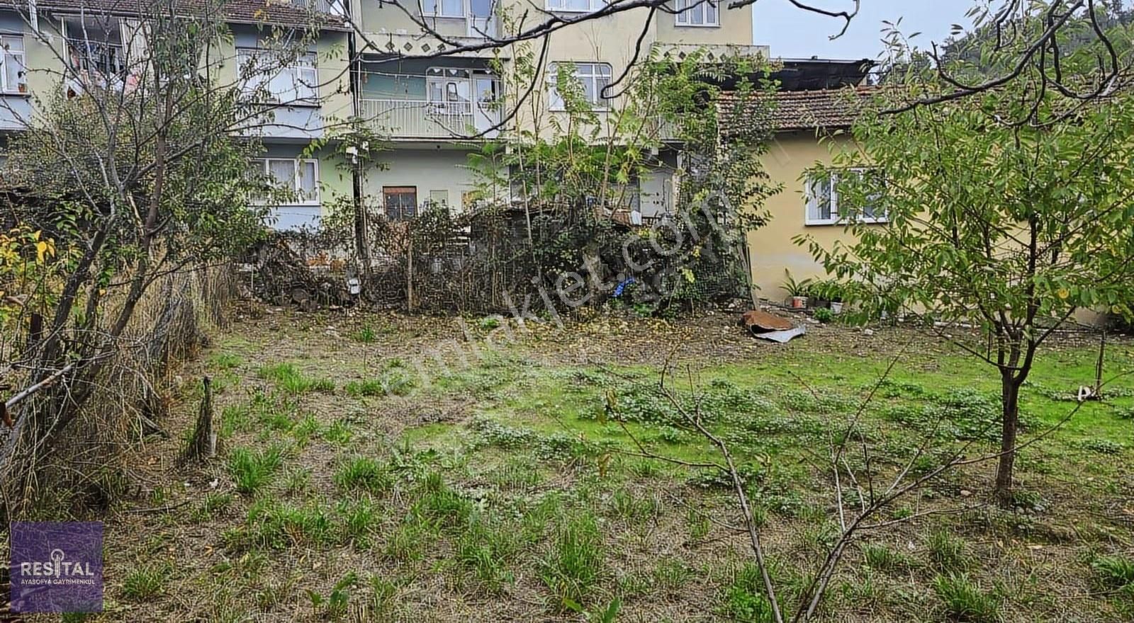 Mudanya Dereköy Köy İçinde Satılık Bahçe - Görsel 8